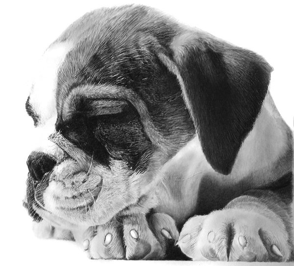 pencil-illustrat-cool-stuff-for-designers