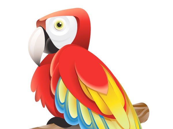 parrot