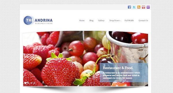 Free WordPress Themes Andrina