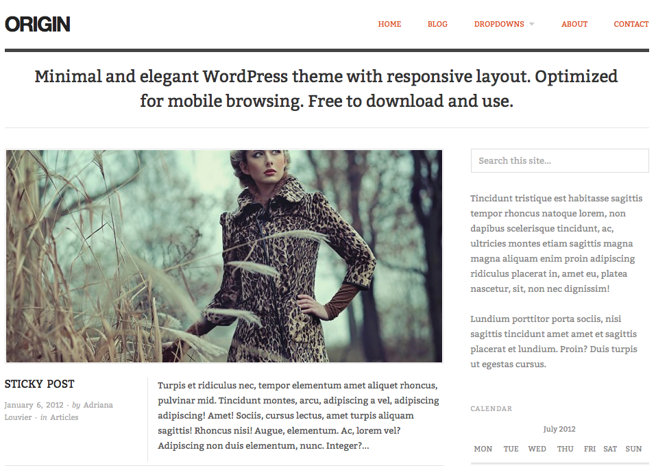 Origin free responsive WordPress theme